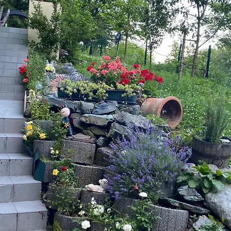 Appartement Privat Sanela