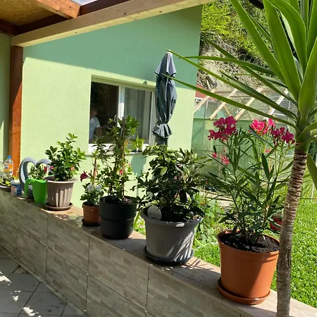 Apartman Privat Sanela Payerbach