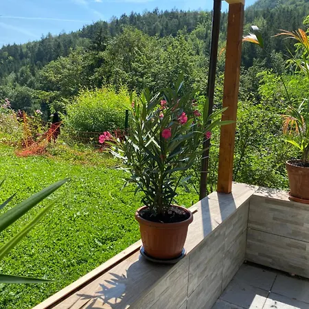 Διαμέρισμα Privat Sanela *