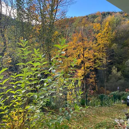 Privat Sanela Payerbach