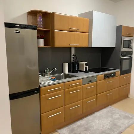 Privat Sanela Apartman Payerbach