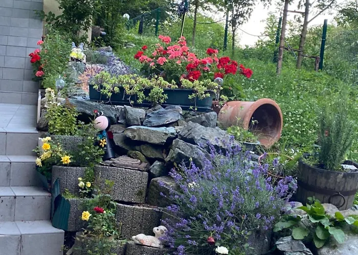 Appartement Privat Sanela