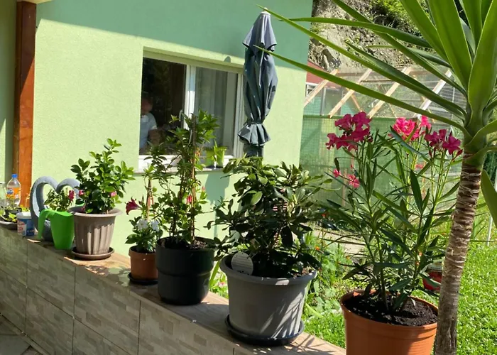 Διαμέρισμα Privat Sanela Payerbach