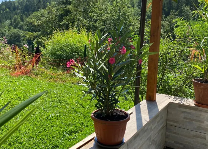 Appartement Privat Sanela *