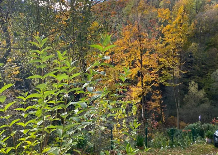 Privat Sanela Payerbach